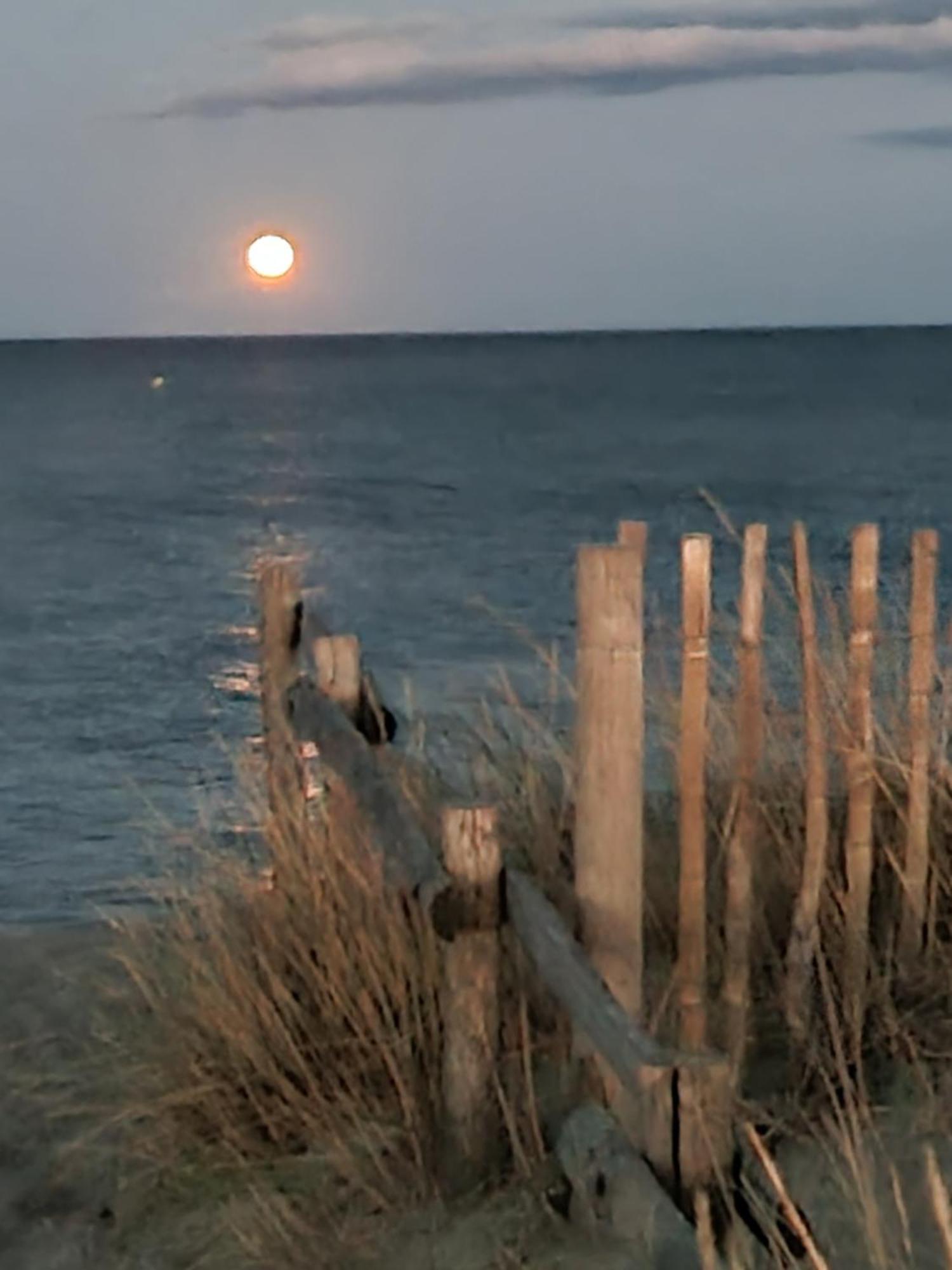 Torreilles Plage: Villa Atypique Bord De Mer Mediterranee 外观 照片